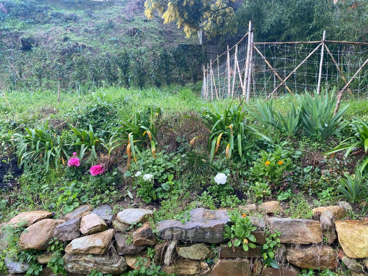 Dolce Vita In Tuscany B&B Capannori Zewnętrze zdjęcie
